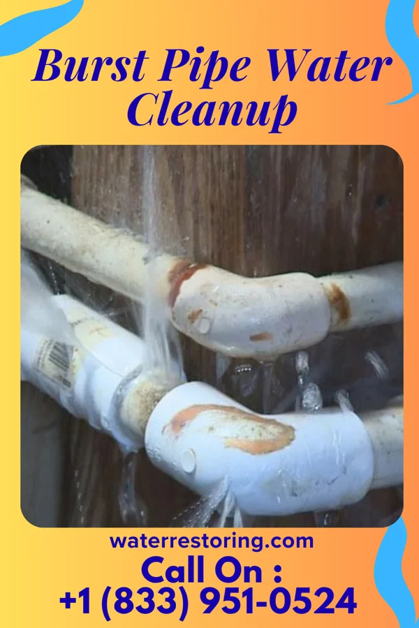 Burst Pipe Water Cleanup in Overton, NE
