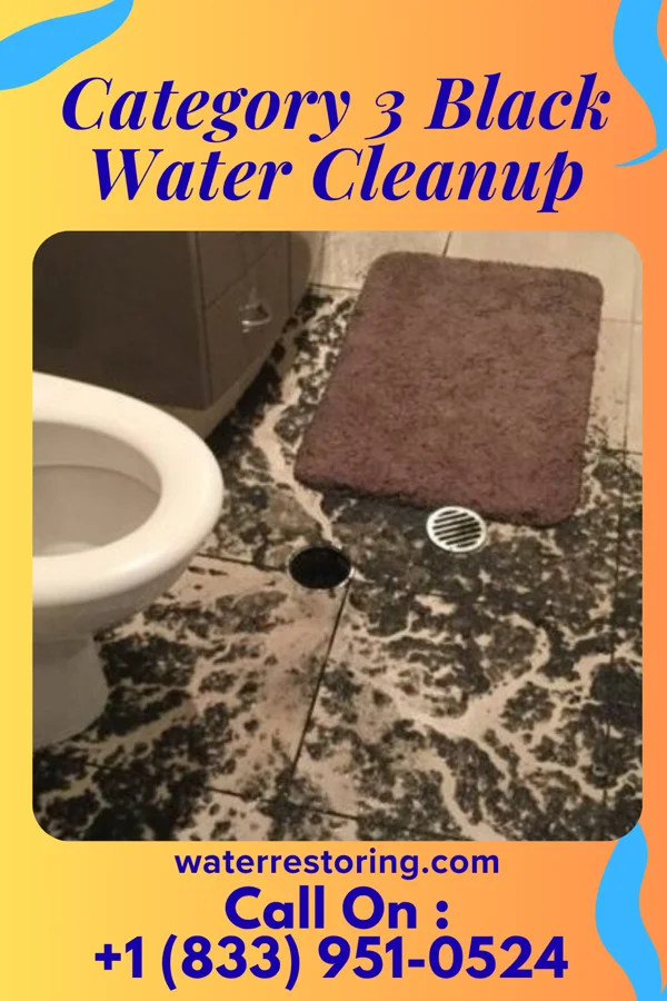 Category 3 Black Water Cleanup in Overton, NE