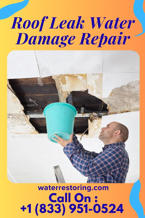 Roof Leak Water Damage Repair in Overton, NE
